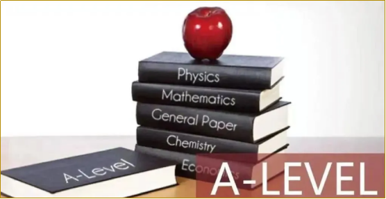 ALevel脱产