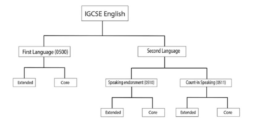 IGCSE英语