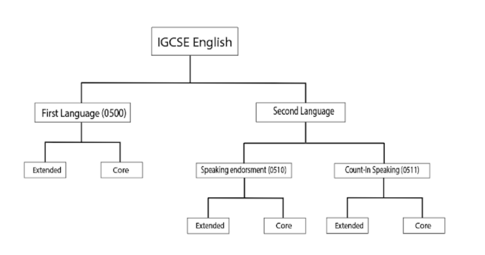 IGCSE课程