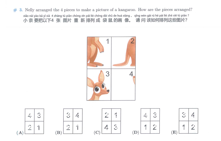 袋鼠数学竞赛