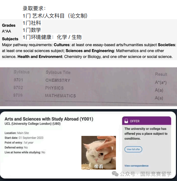 ALevel课程