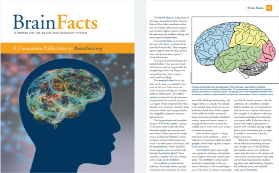 Brain Bee脑科学大赛
