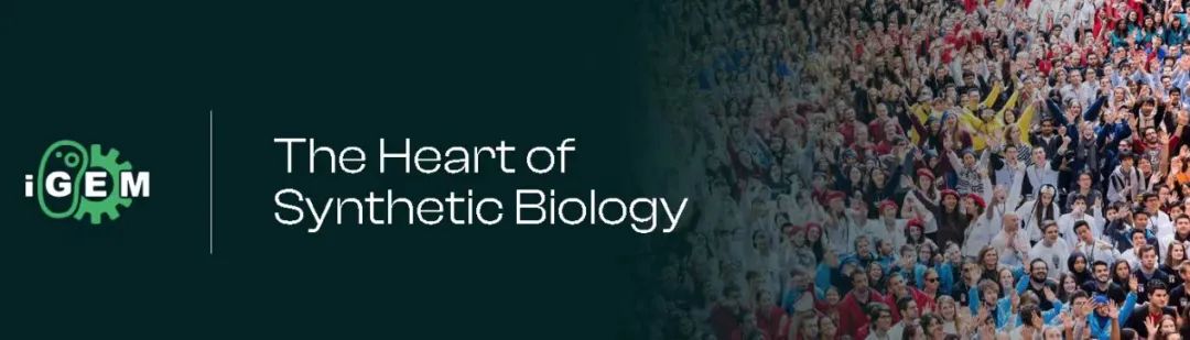 iGEM