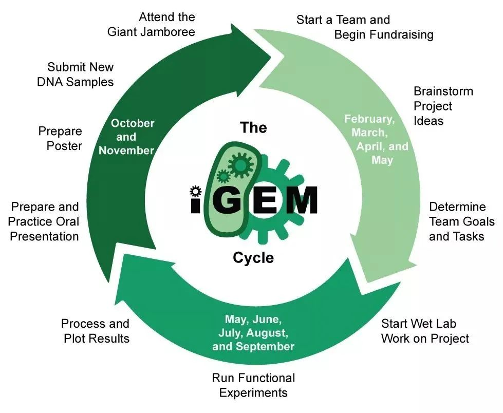 iGEM竞赛