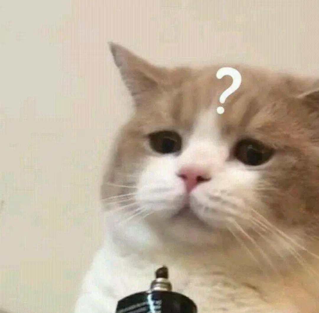 IGCSE课程