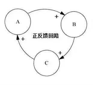 袋鼠数学竞赛