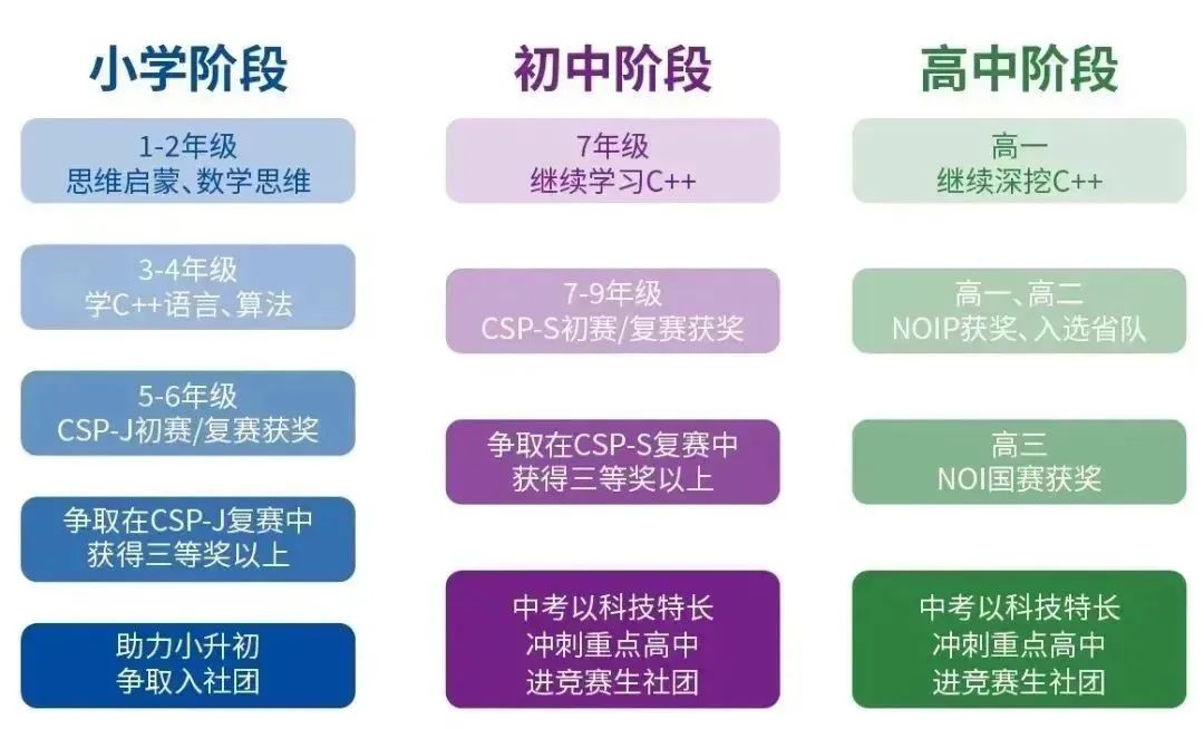 信奥赛