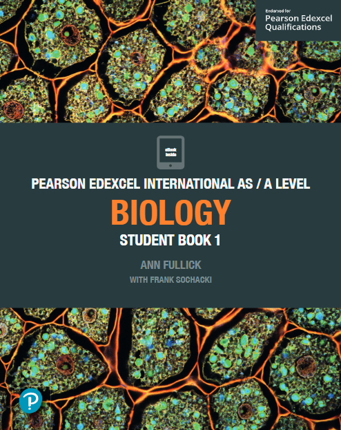 ALEVEL数学
