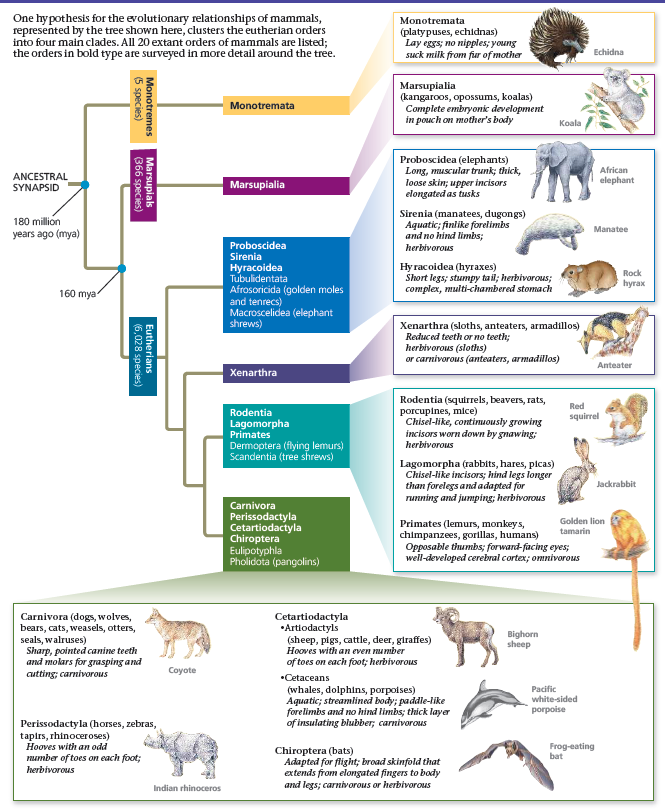 USABO生物竞赛