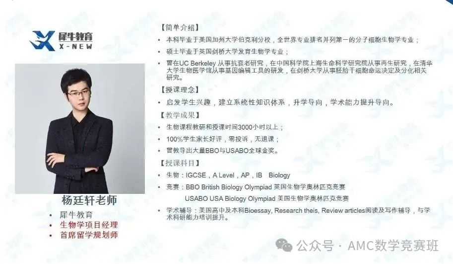 igcse暑期班