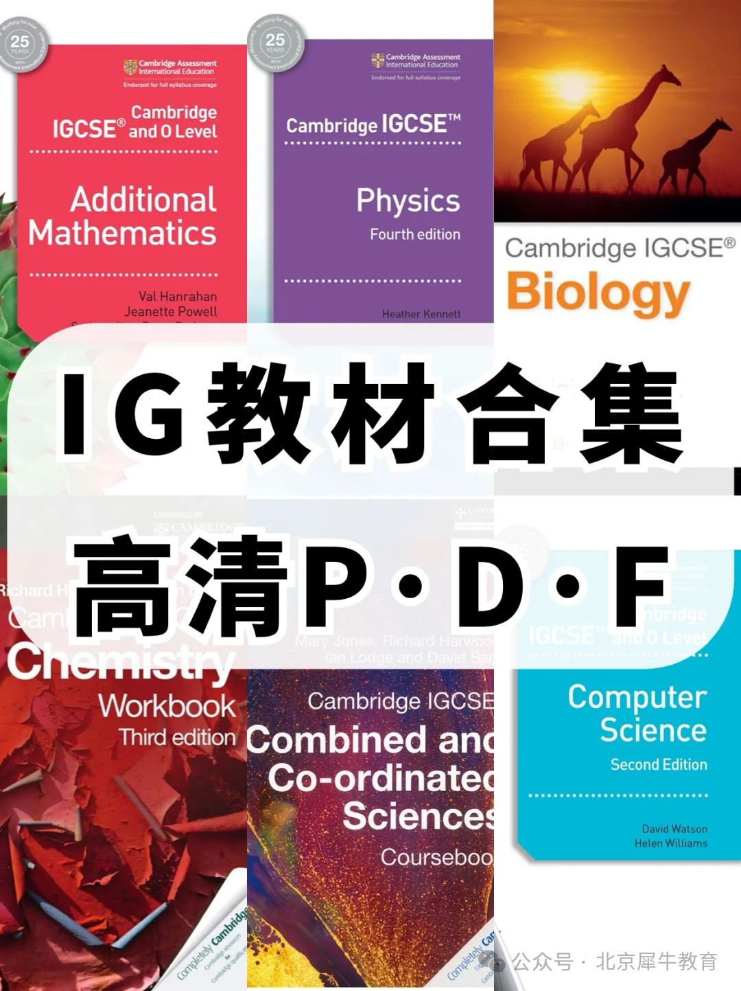 IGCSE课程