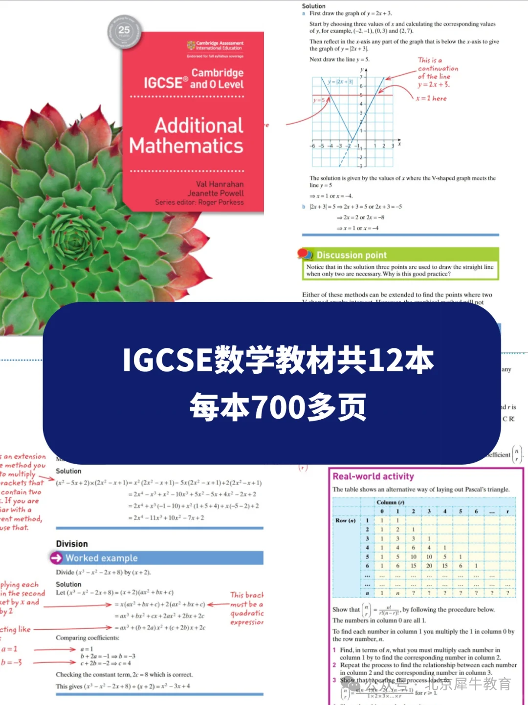 IGCSE课程