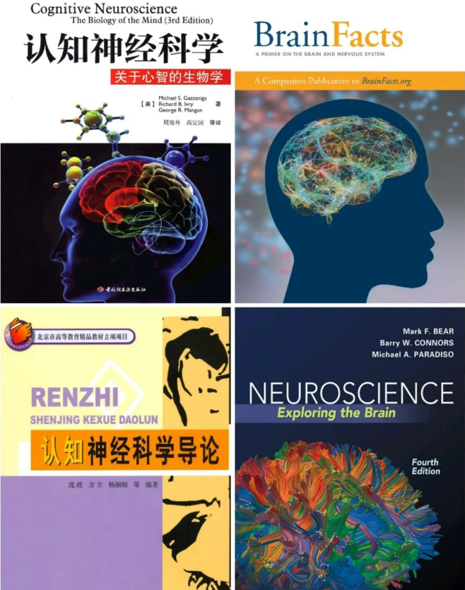 Brain Bee脑科学大赛