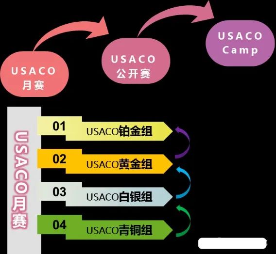 usaco竞赛