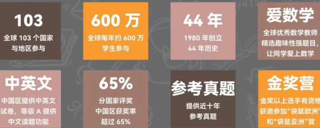 袋鼠竞赛