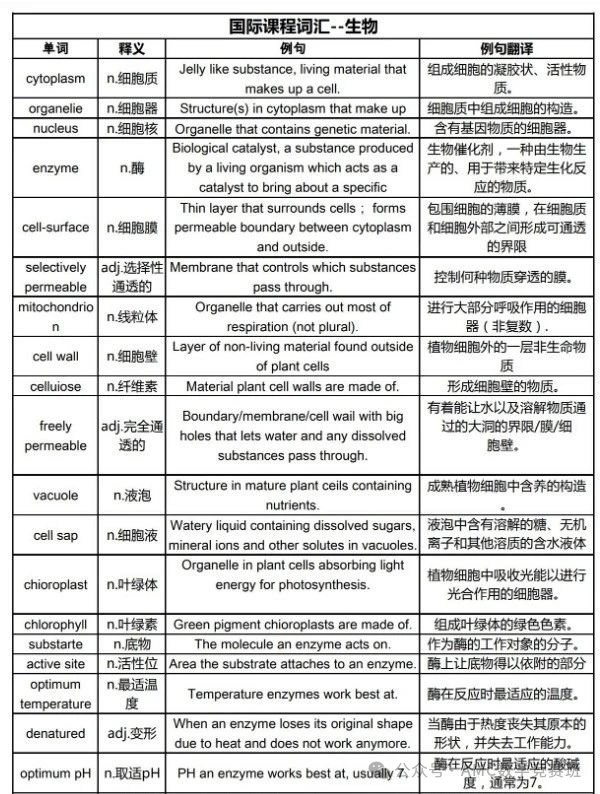 igcse辅导