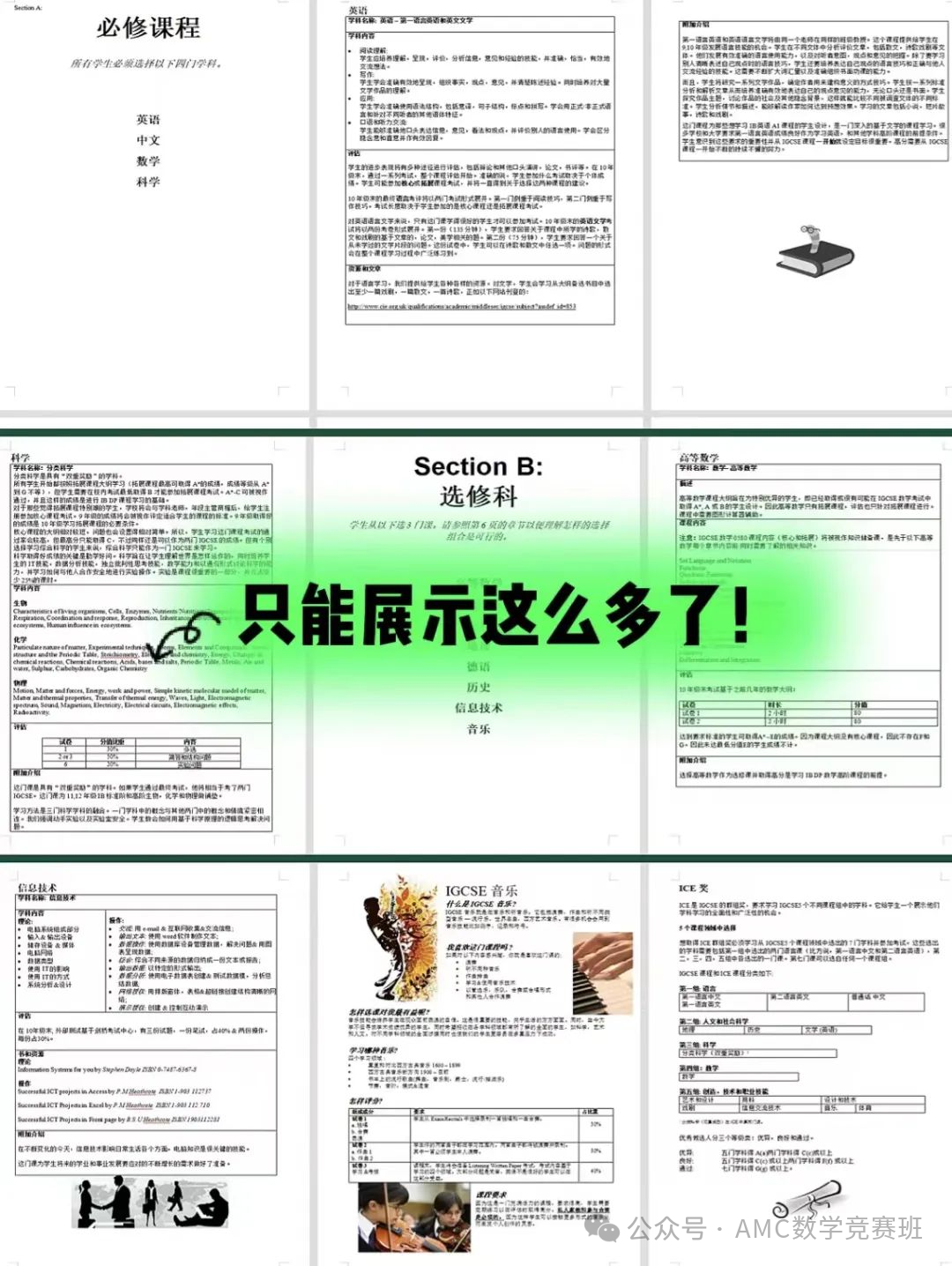 igcse辅导
