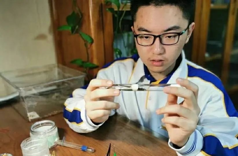 丘成桐中学科学奖