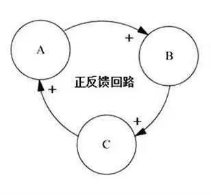 澳洲AMC