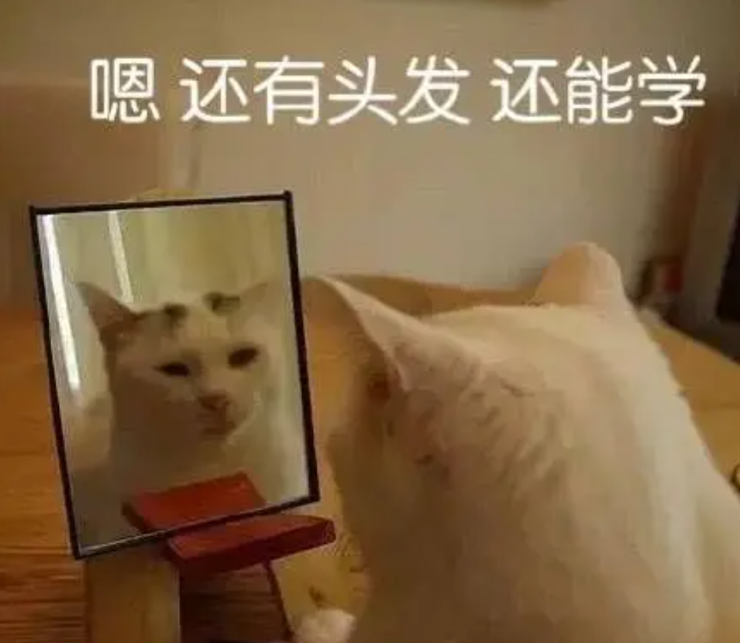 IGCSE物理