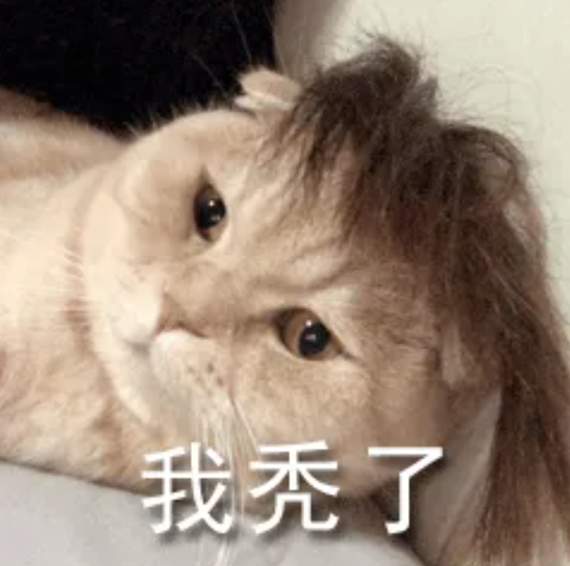 IGCSE物理