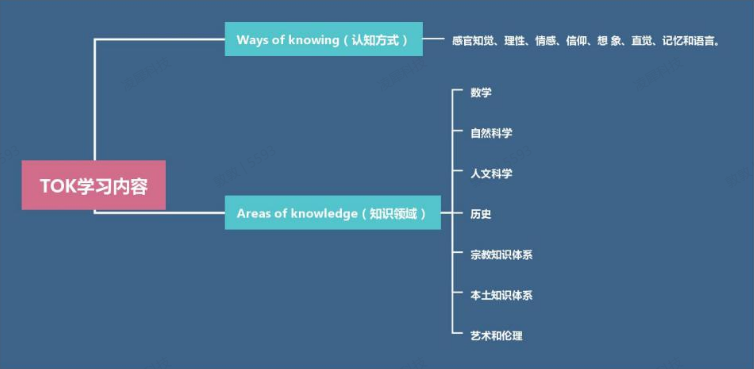 IB课程
