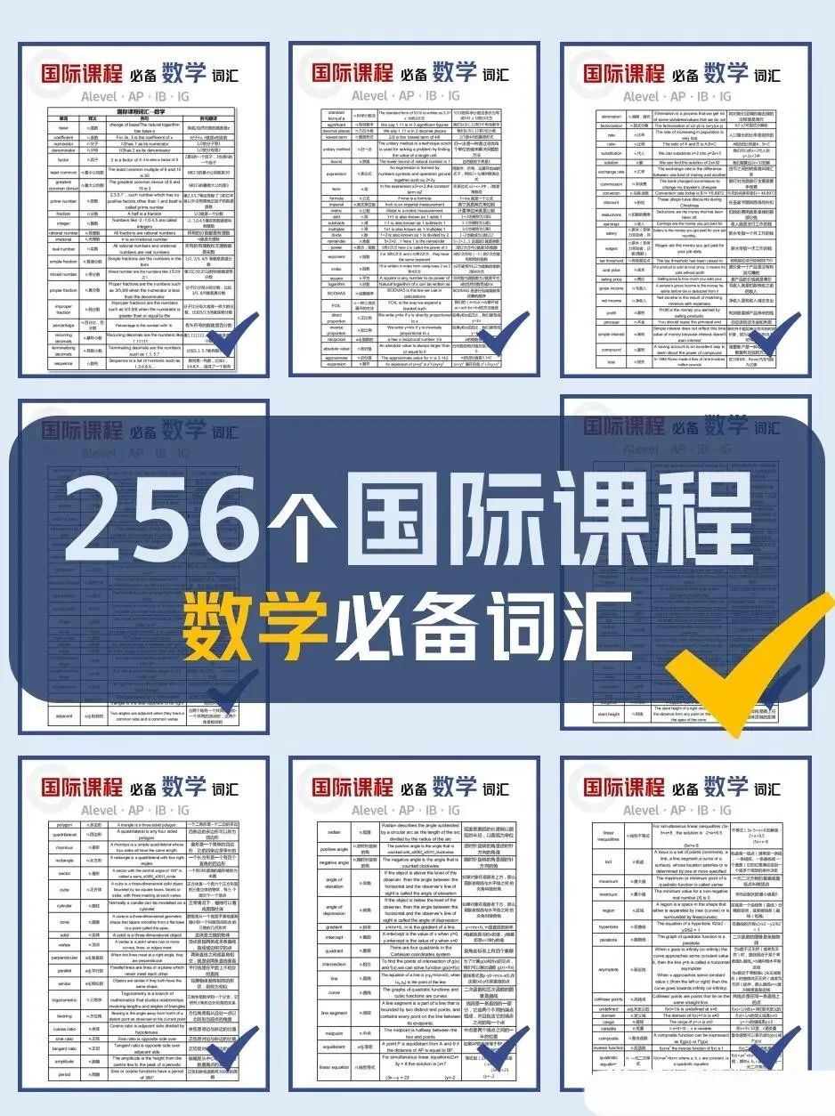 IGCSE数学