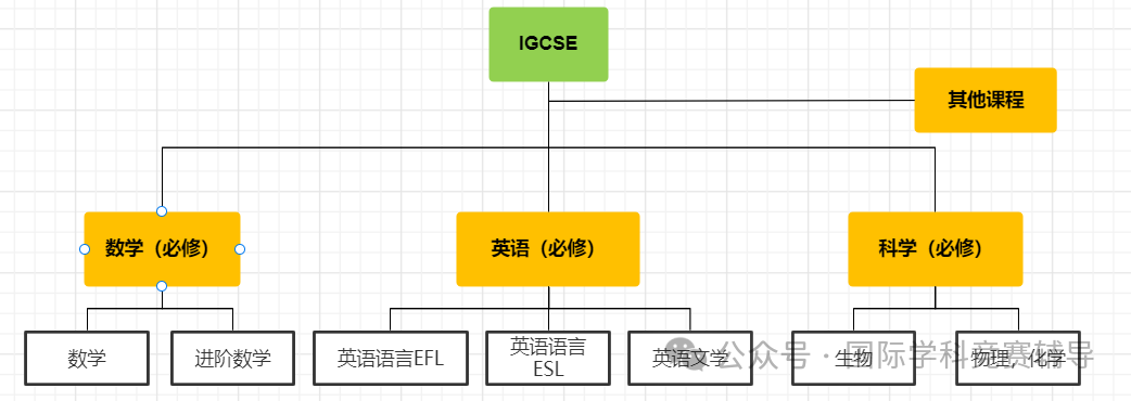 IGCSE课程