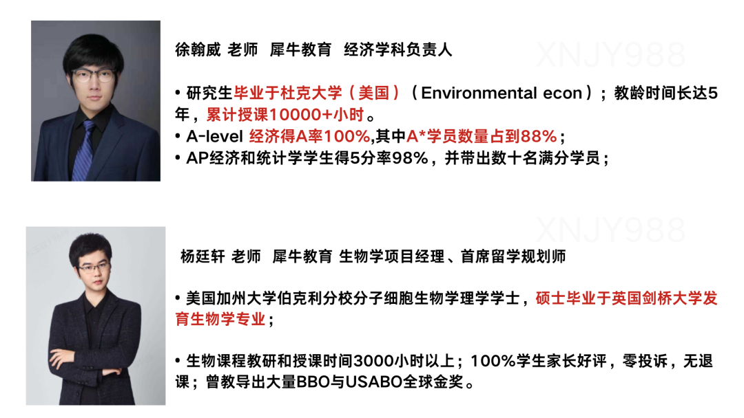 IGCSE课程