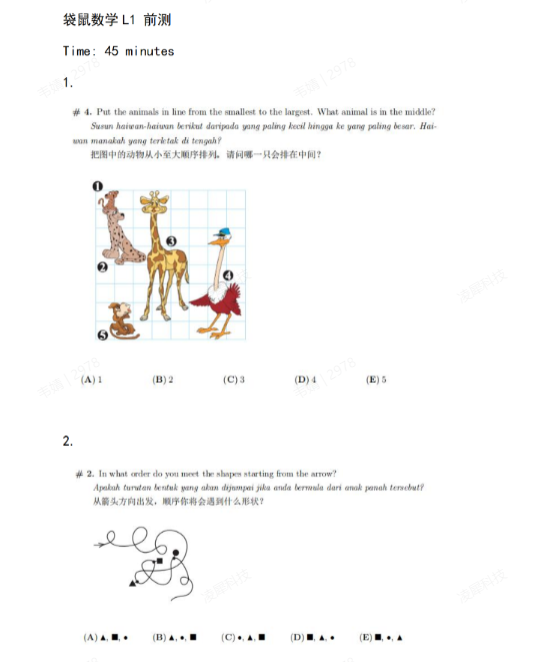 袋鼠数学竞赛
