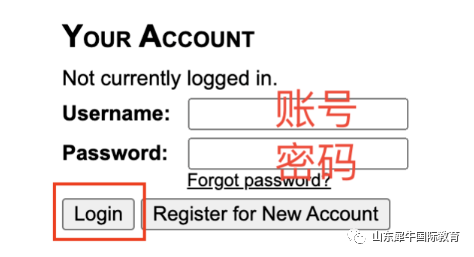 USACO竞赛
