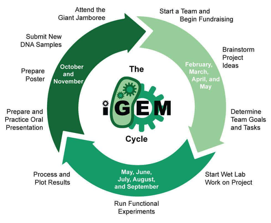 iGEM竞赛