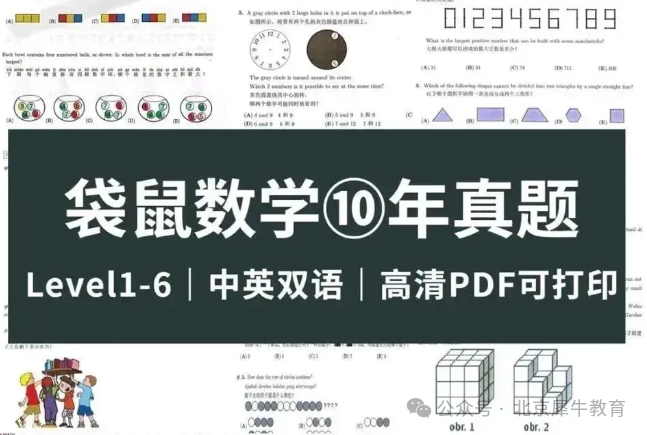 袋鼠数学竞赛