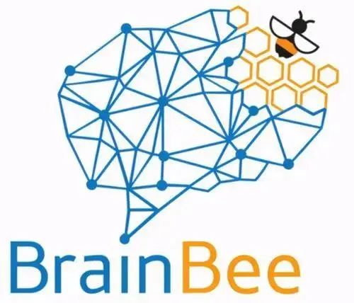 Brain Bee