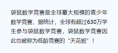 袋鼠数学竞赛