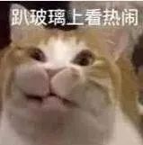 托福考试,托福考试时间,托福培训班,托福真题,托福,