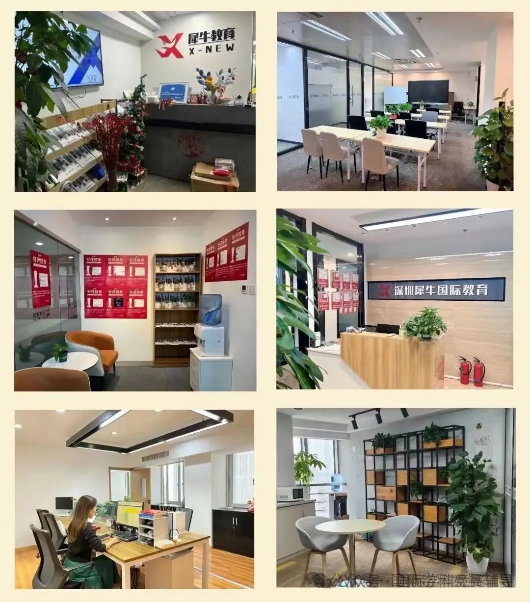 袋鼠数学竞赛