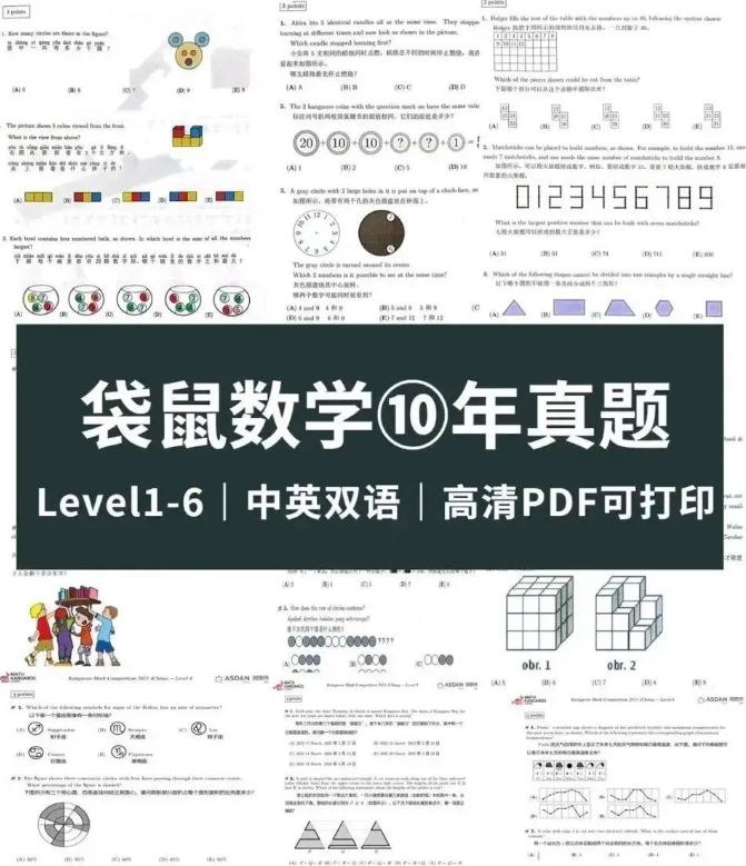 袋鼠数学竞赛