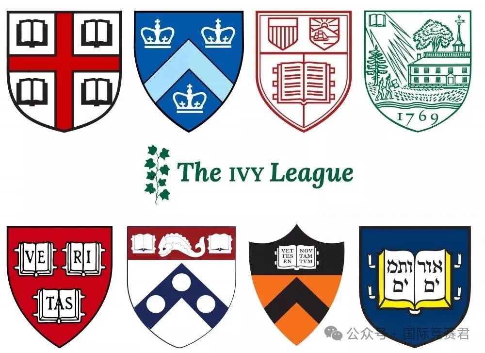 袋鼠数学