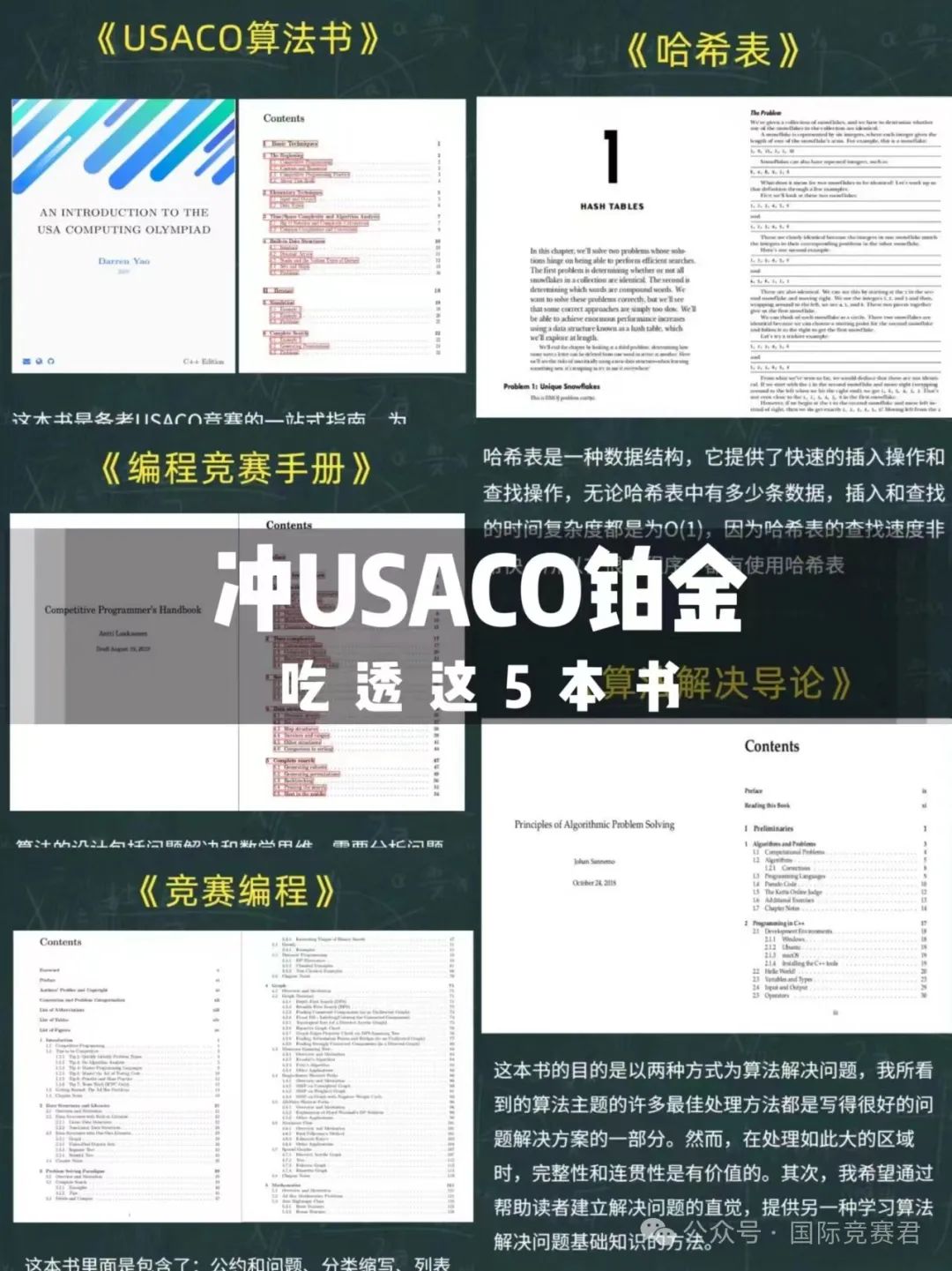 USACO竞赛
