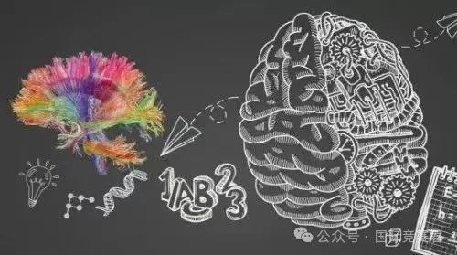 Brain Bee