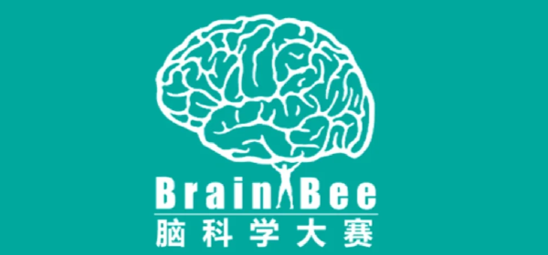 Brain Bee竞赛