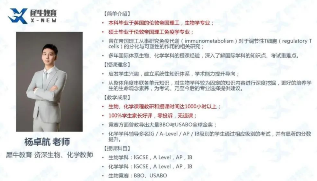 IB课程