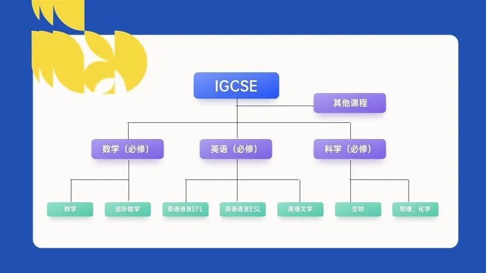 IGCSE课程