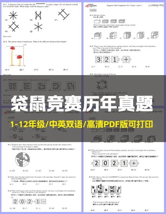 袋鼠数学竞赛