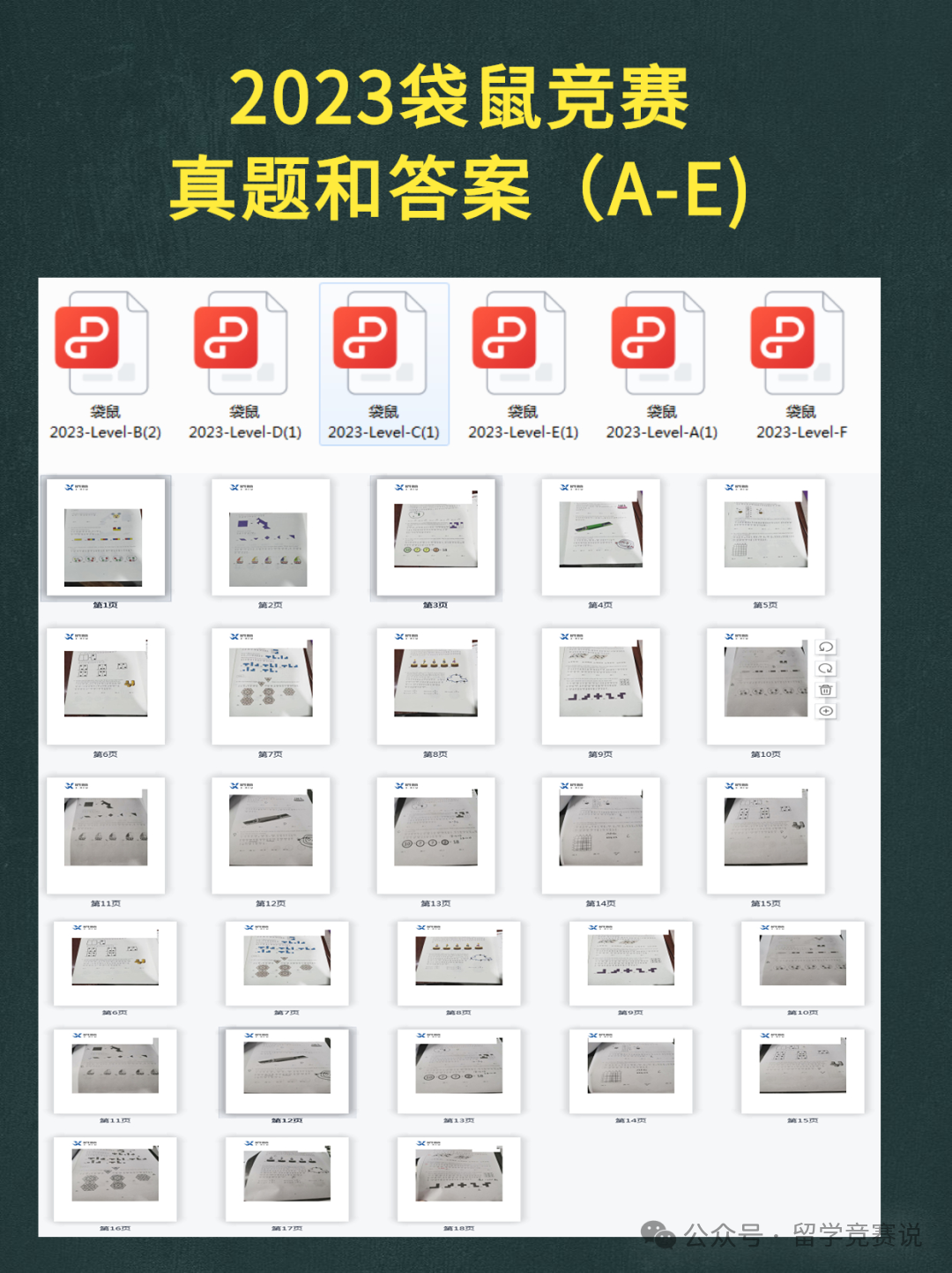 袋鼠数学竞赛