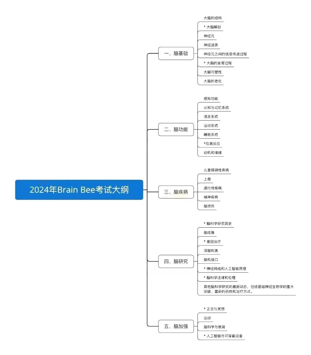 brain bee竞赛
