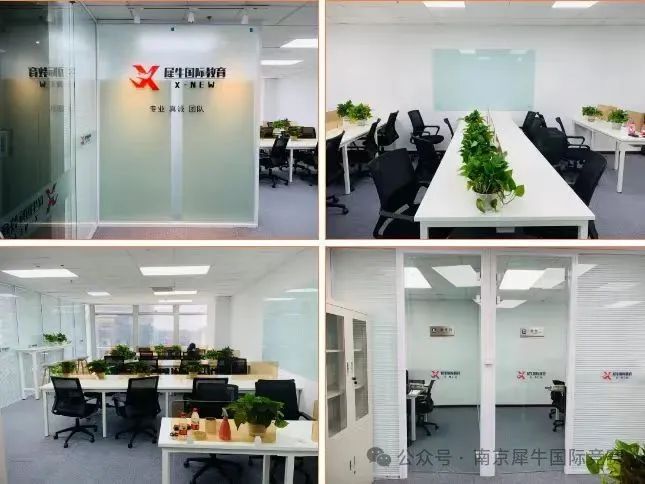 图袋鼠数学竞赛