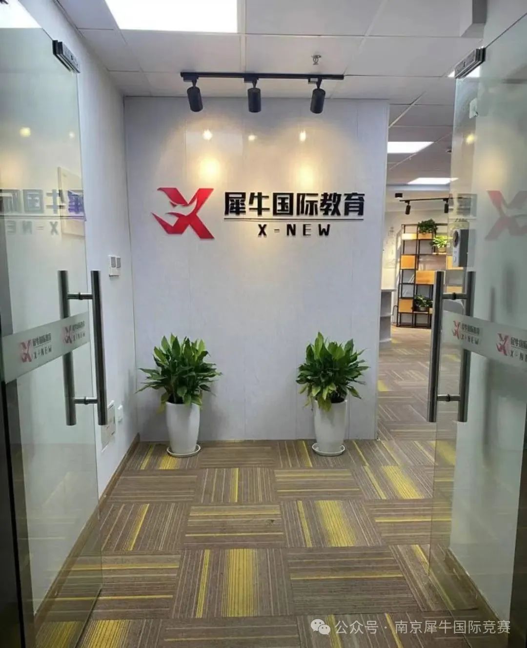 袋鼠数学竞赛