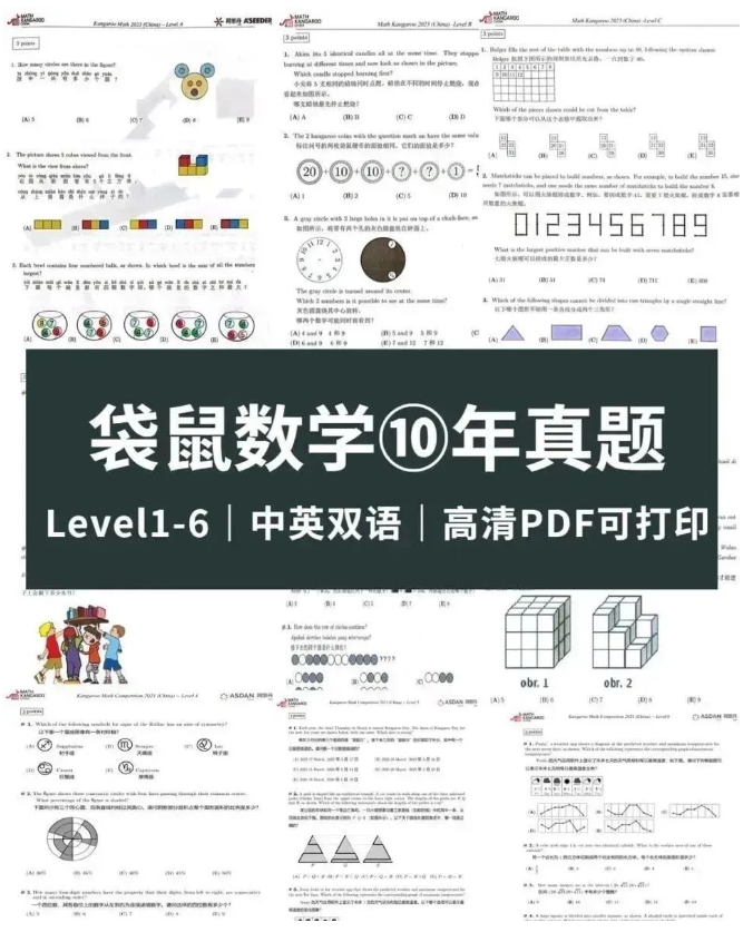 袋鼠数学竞赛